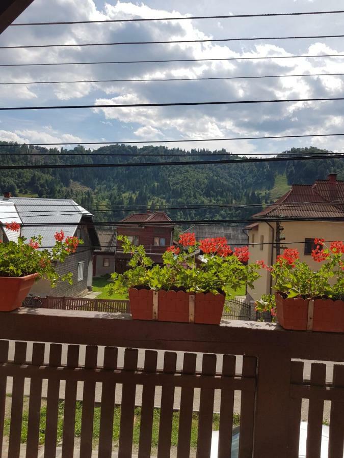 Dmc House Hotell Frumosu  Eksteriør bilde